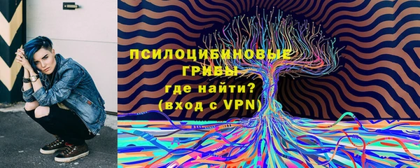 героин Абаза