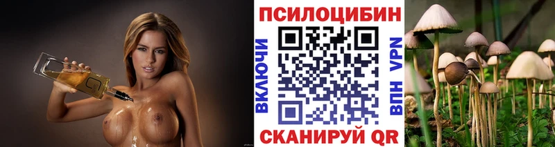 Псилоцибиновые грибы прущие грибы  где купить наркотик  Янаул 